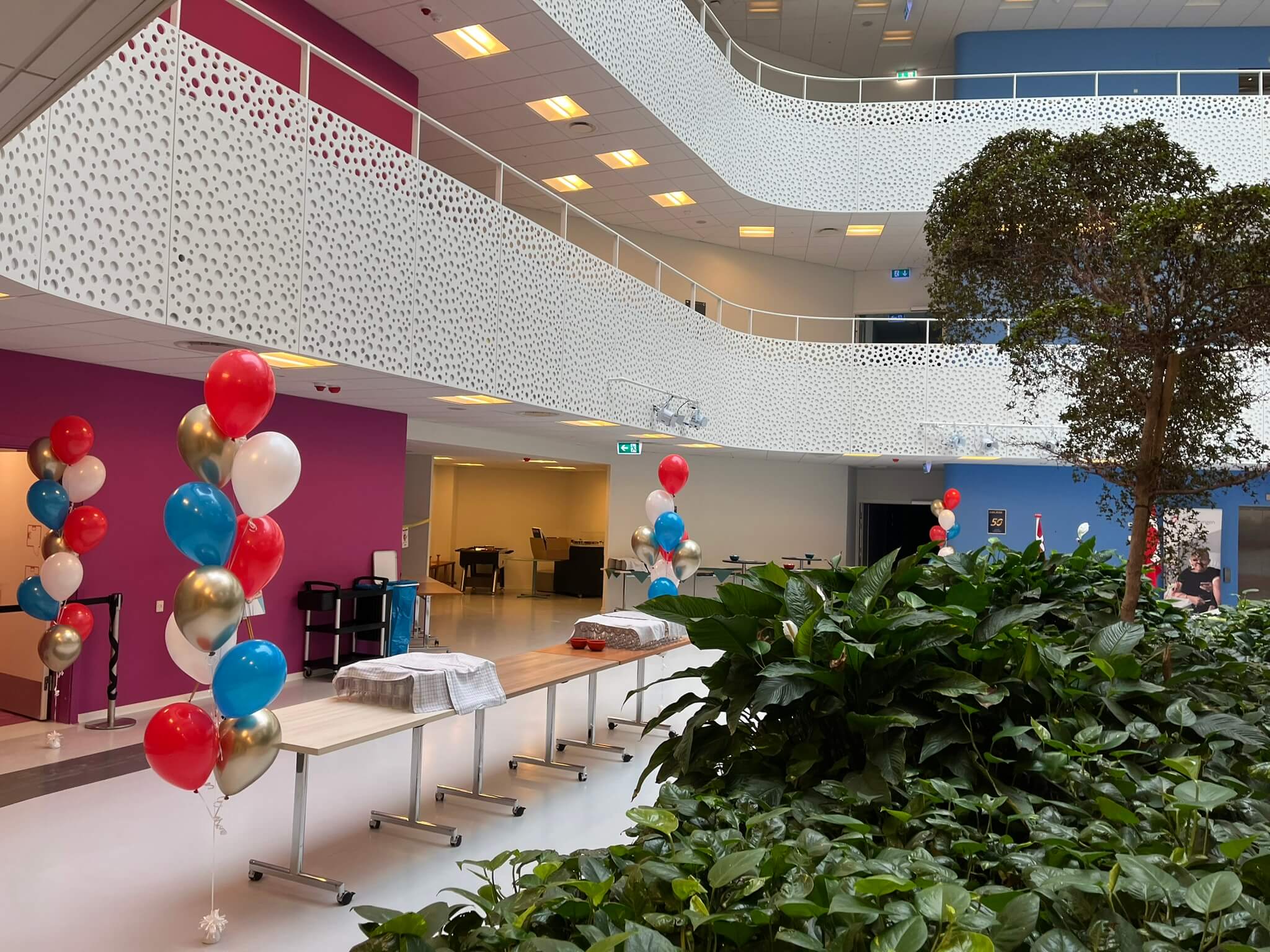 Nyreforeningen 50 år