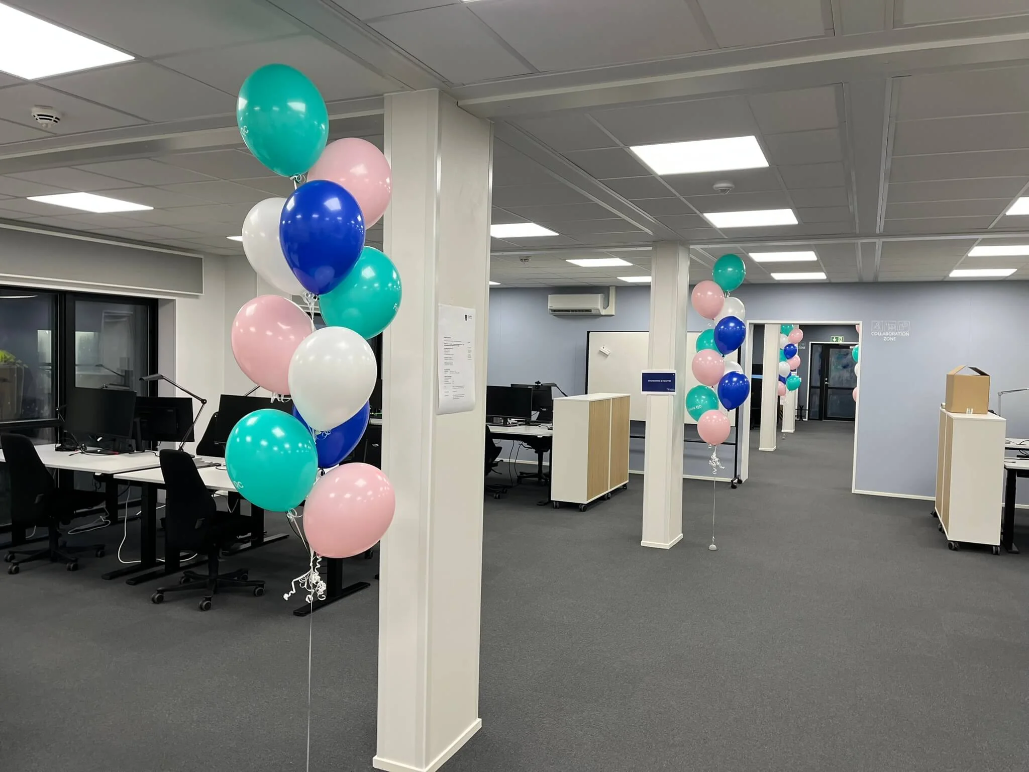 Ballonbuketter  Novo Nordisk