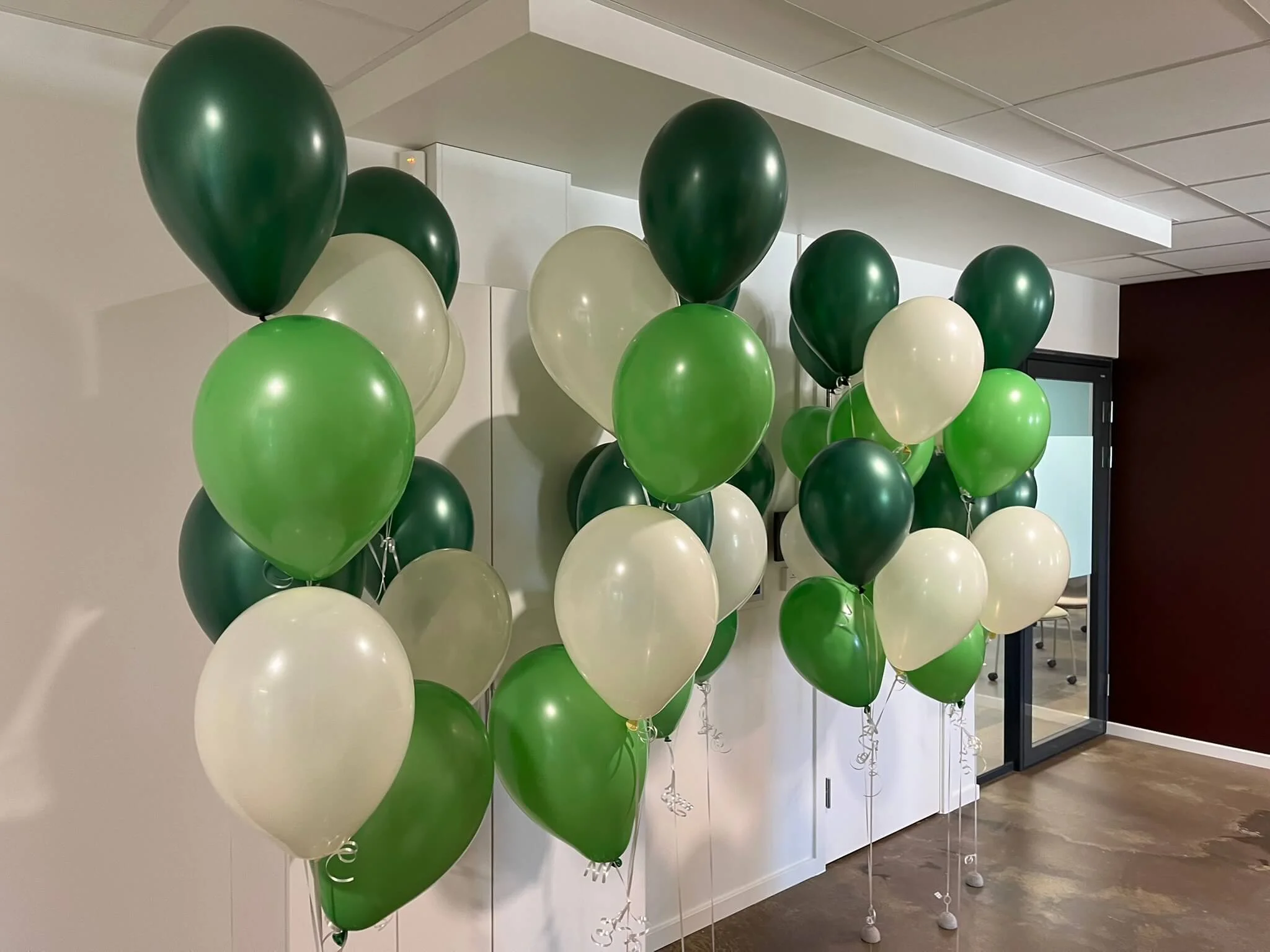 Ballonbuketter 12 stk.