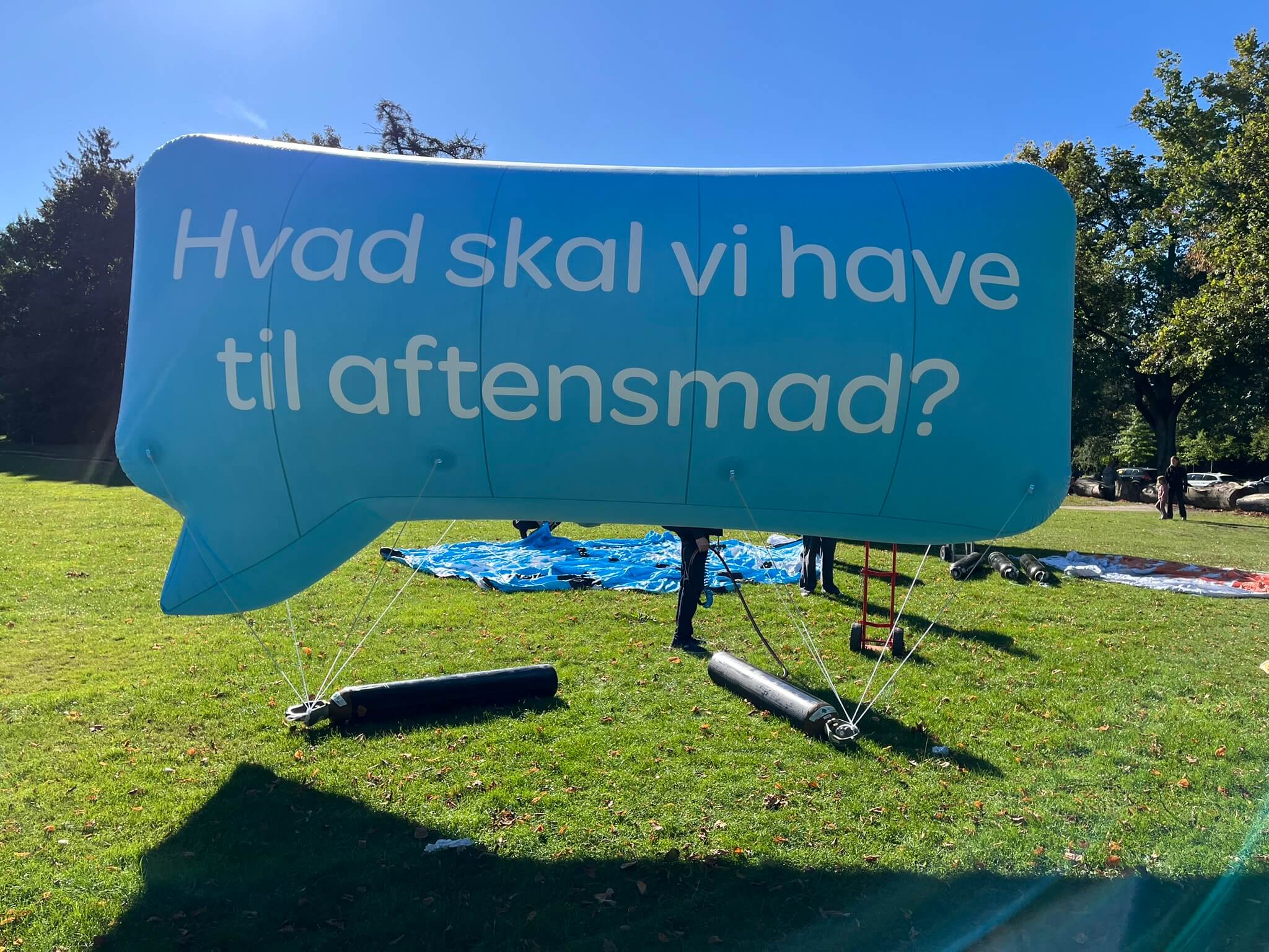 Kæmpe balloner Wolt