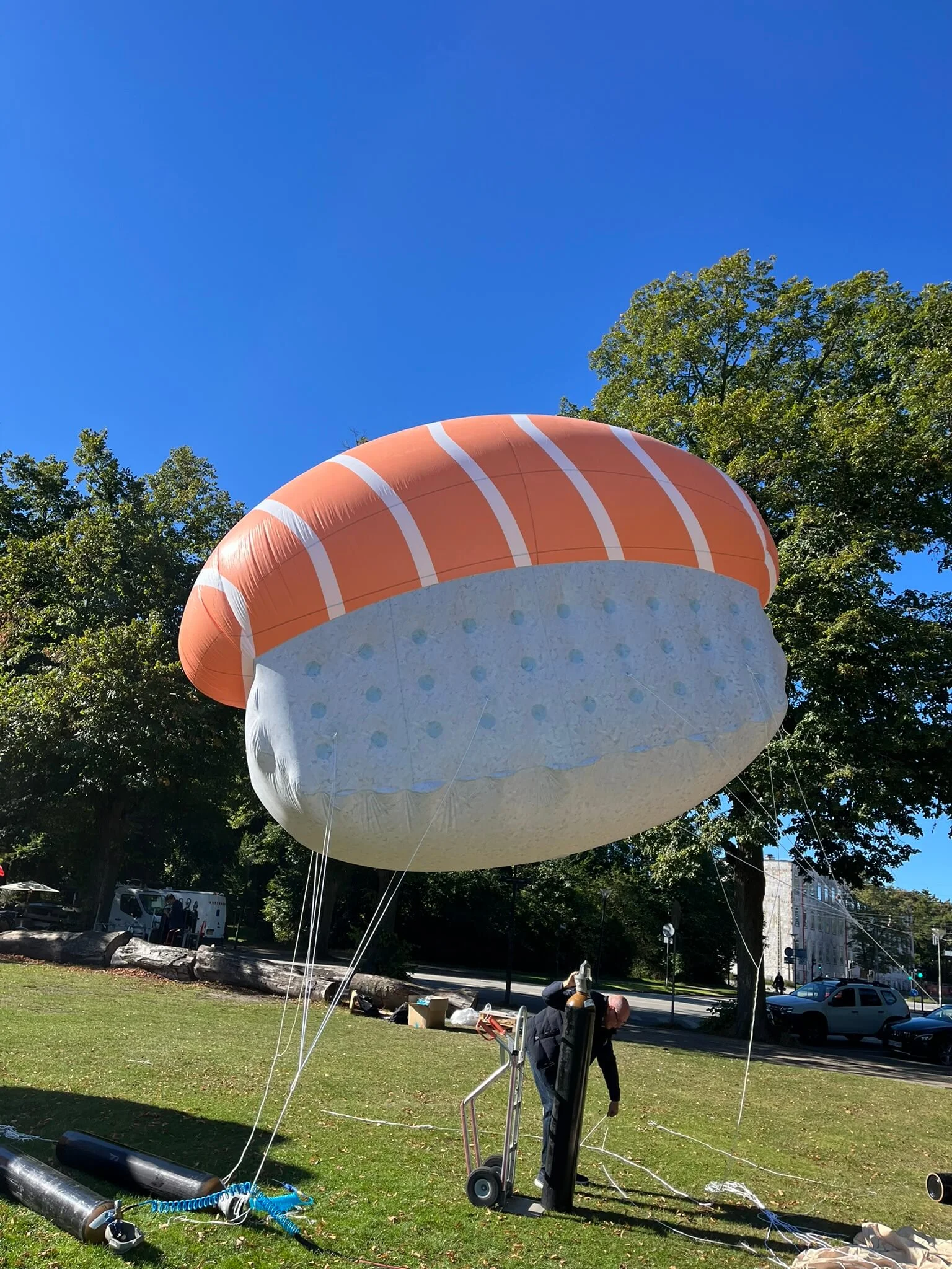Kæmpe balloner Wolt