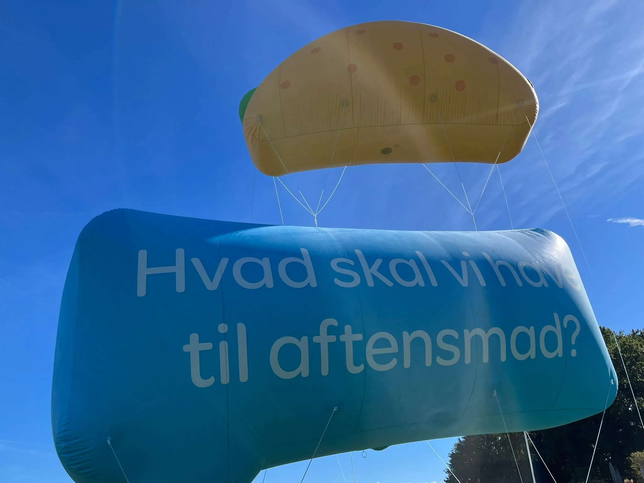 Kæmpe balloner Wolt