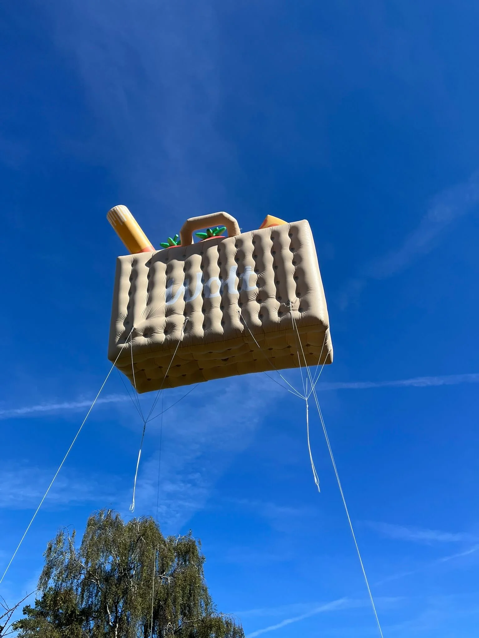 Kæmpe balloner Wolt