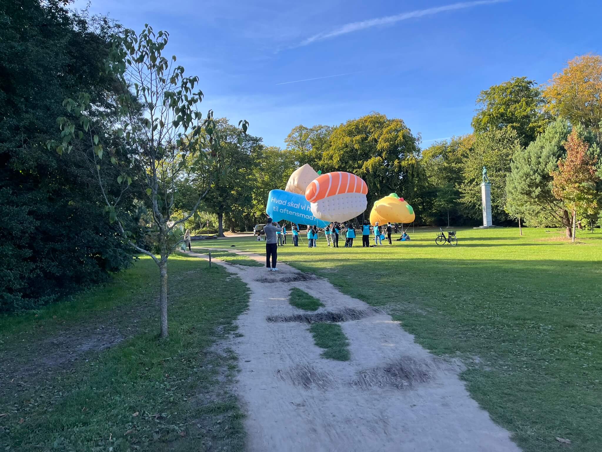 Kæmpe balloner Wolt