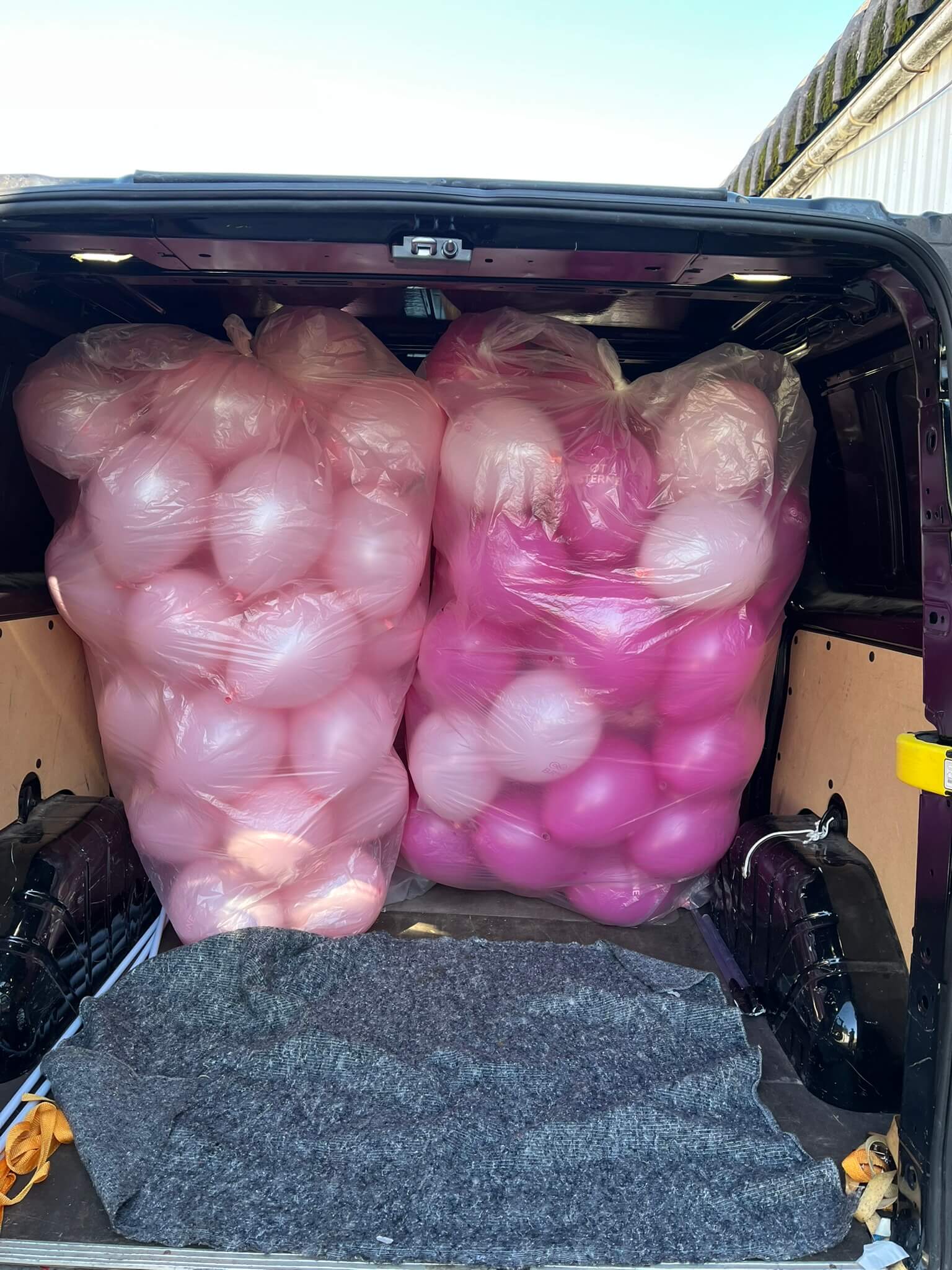 Balloner Lyserød Lørdag