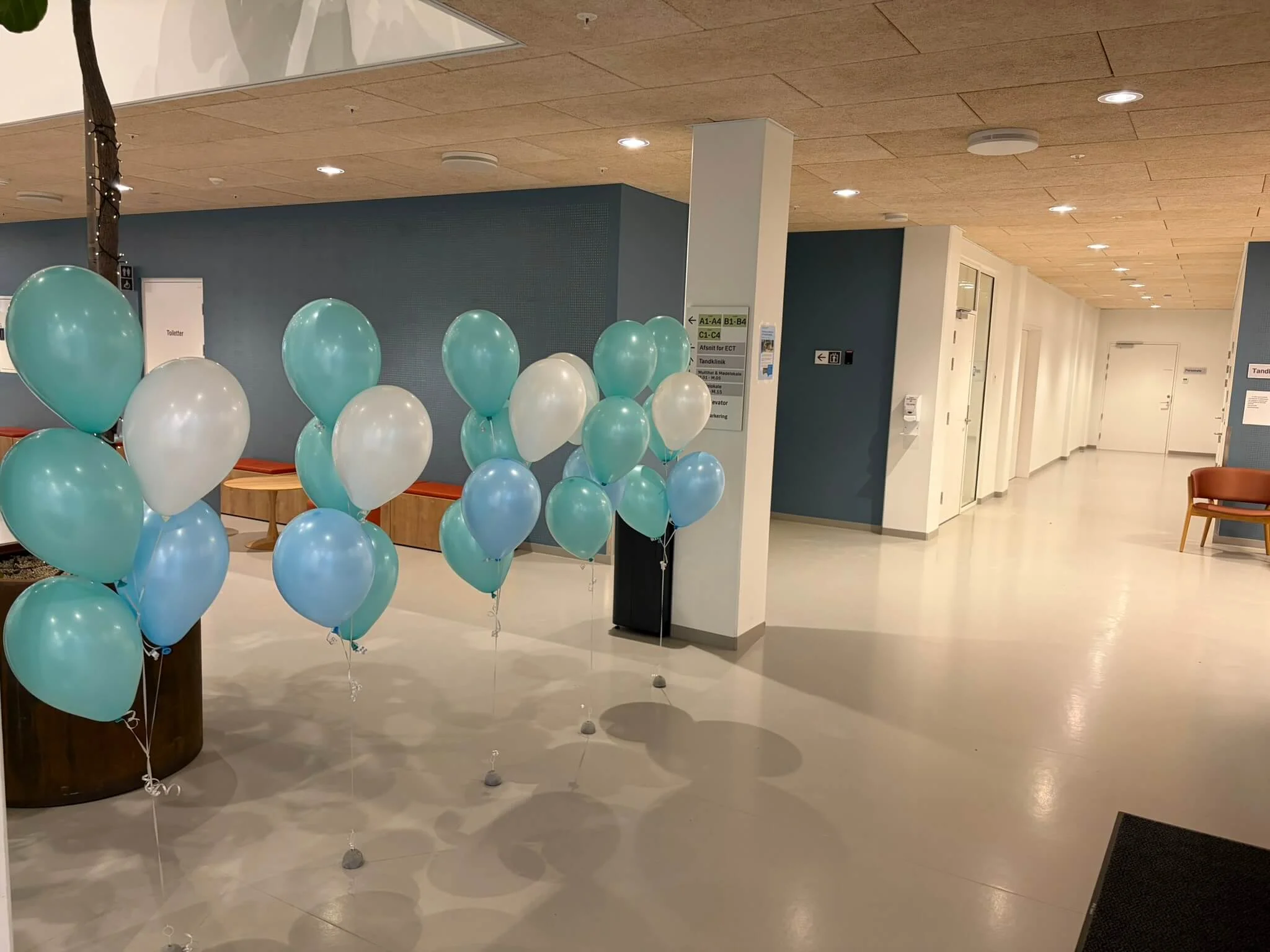 Ballondekorationer til Bispebjerg