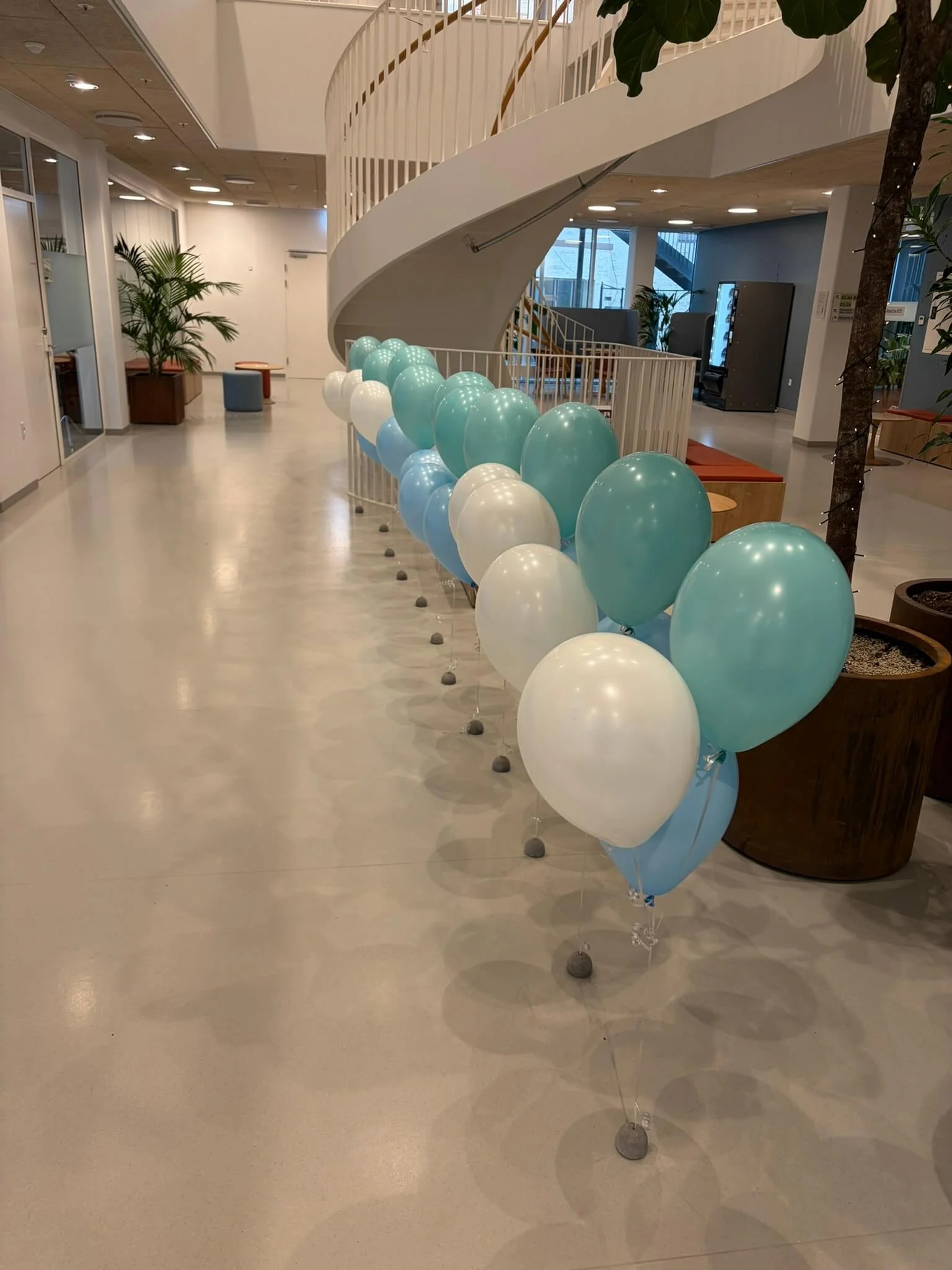 Ballondekorationer til Bispebjerg